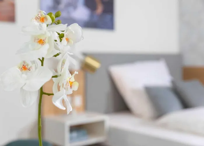 Nino-boardinghouse 24 公寓 诺德霍恩